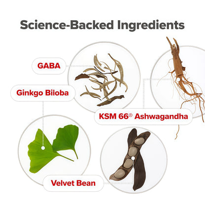 O Positiv URO Women’s Probiotic – All-in-one Probiotic for Women - Vaginal, Gut, Skin, and Oral Microbiome Health – 20B+ CFUs, Licorice Root, Dandelion – Non-GMO, Vegan, Gluten-Free – 30 Capsules